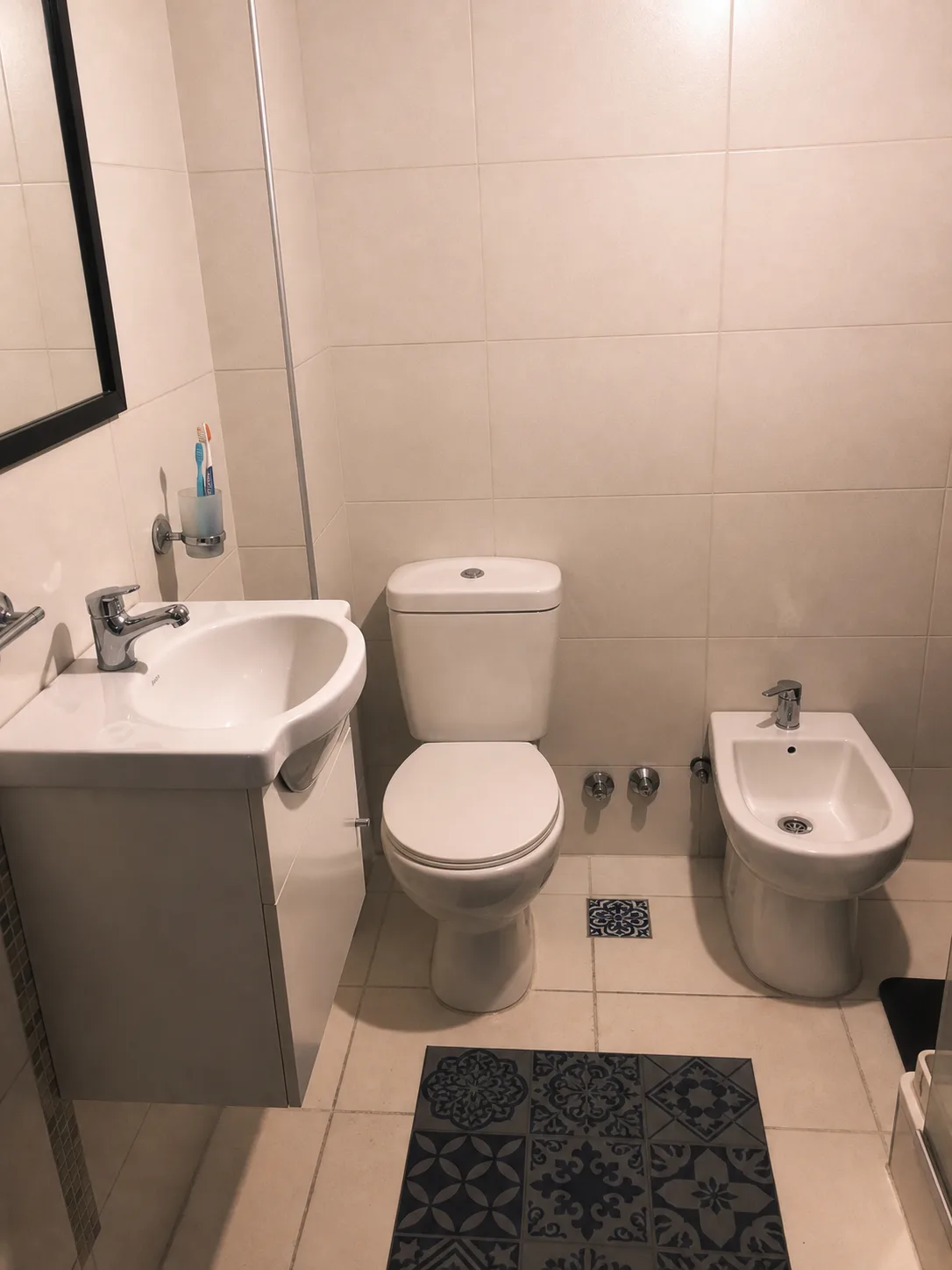 Sanitarios instalados